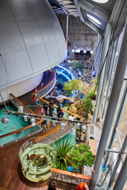 Bilim Akademisi 'ndeki tuzlu su sergisinin üzerinde yürüyen insanların görüntüsü