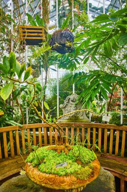 Süslü ekicinin görüntüsü, uzun ince bitkilerle çevrili, seranın içinde bitki yetiştiren bir bank.