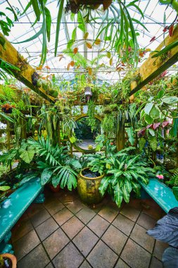 Asılan bitkilerle dolu seranın ve ay kapısı ve gökyüzü mavi bankları olan saksı bitkilerinin geniş bir görüntüsü