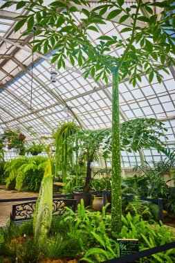 Seranın içinde yerde daha küçük tomurcukları olan uzun ölü çiçek resmi