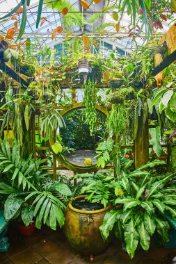 Sarmaşık merkezindeki Ay Kapısı 'nın çevresindeki saksı bitkilerinin resmi.