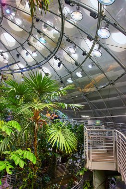 Yağmur ormanlarında yürüyüş yapan insanların görüntüsü. Tepesinde kubbe, tropik bitkiler ve ağaçlar var.