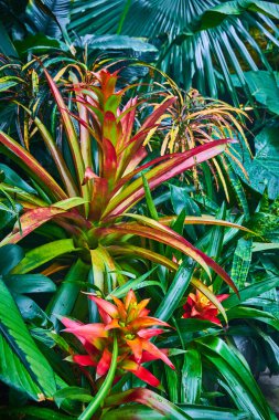 Parlak ve renkli bitkilerin arkaplan varlığının resmi