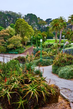Çiçek Konservatuvarı yakınlarında bitki yaşamı bulunan dış yol görüntüsü