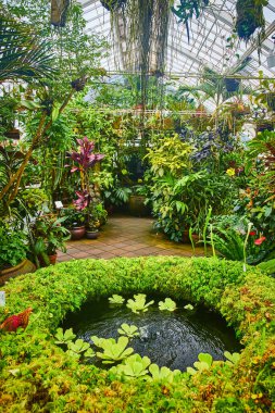 Çeşmenin etrafında asılı bitkiler ve sera tavanı olan yosunlu bitkilerin görüntüsü