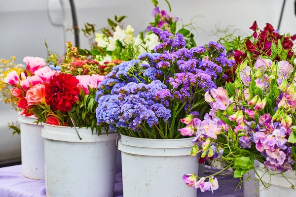 Зображення Чудових Квітів Великих Білих Відрах Готових Продажу — стокове фото