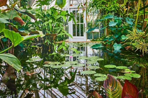 전망의 이미지 흐르는 연못과 떨어진 백악관 — 스톡 사진