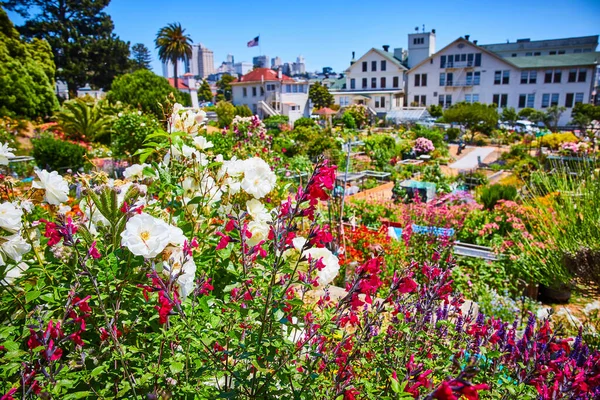 San Francisco Daki Mason Kalesi Nin Süper Renkli Görüntüsü — Stok fotoğraf