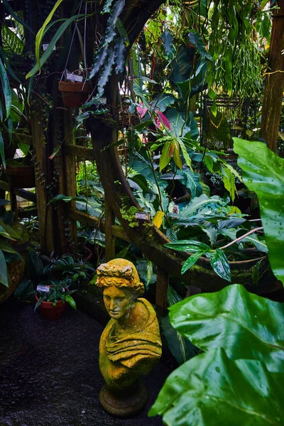 Obrázek Plastiky Před Mřížkou Pokrytou Rostlinami Částečným Kruhovým Otvorem — Stock fotografie