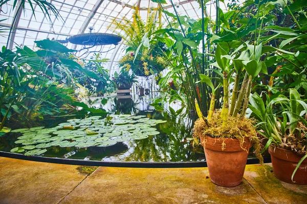 Image Basse Vue Eau Intérieur Véranda Avec Des Plantes Pot — Photo