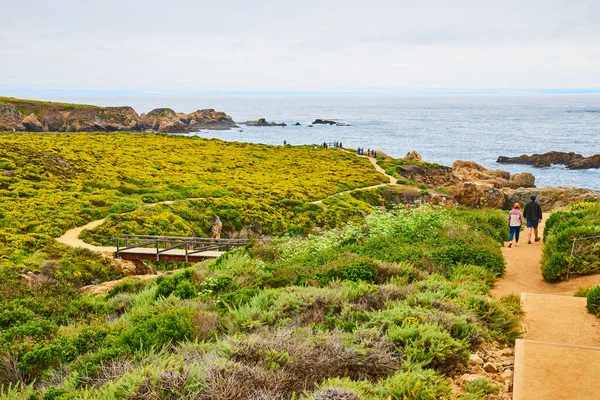 Imagen Ladera Verde Amarilla Que Conduce Vista Costa Del Océano — Foto de Stock