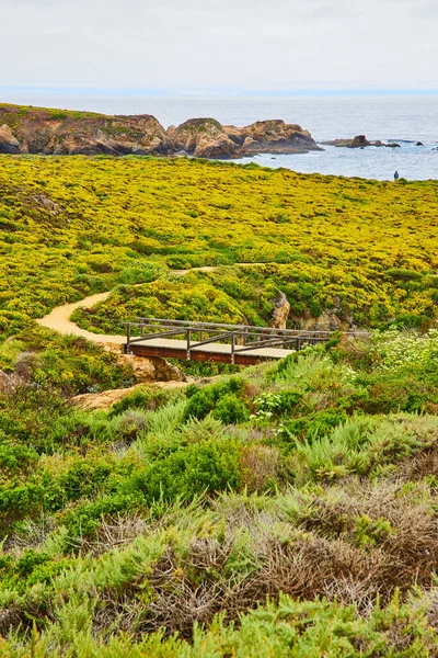 Imagen Ladera Verde Amarilla Que Conduce Vista Costa Oceánica — Foto de Stock
