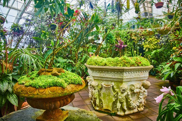 Kép Beton Növények Egy Szögletes Egy Hárfa Lógó Edények Üvegházban — Stock Fotó