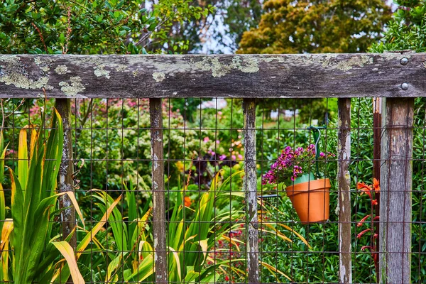 反対側の花の鍋が付いている衰退する木のビームおよび多彩な庭が付いているワイヤー塀のイメージ — ストック写真