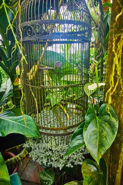 Obraz Klatki Dla Ptaków Małą Zieloną Rośliną Rosnącą Dnie Otoczoną — Zdjęcie stockowe