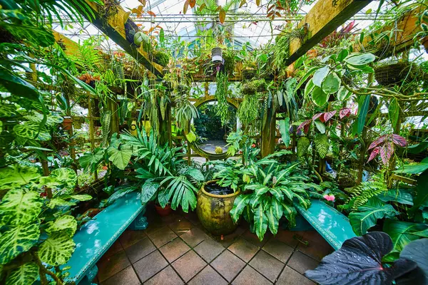 Képek Üvegházról Tele Lógó Növényekkel Cserepes Növényekkel Holdkapuval Égszínkék Padokkal — Stock Fotó