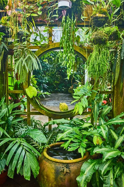 식물과 게이트의 이미지 — 스톡 사진
