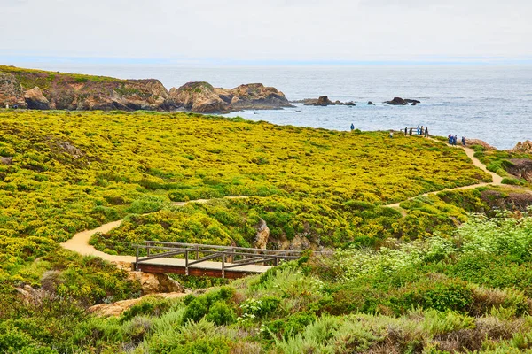 Okyanus kıyısına giden yeşil ve sarı yamaçlı doğanın görüntüsü.
