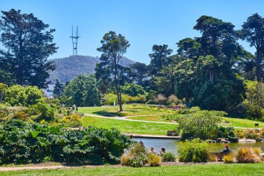Botanik Bahçeleri parkının resmi. İnsanlar yaz günü göletin önündeki banklarda oturuyorlar.