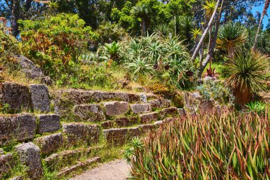 Ağaçlarla ve mavi gökyüzüyle sınırlanmış, sulu ve aşırı gelişmiş tuğla duvarlı Rustik patika görüntüsü