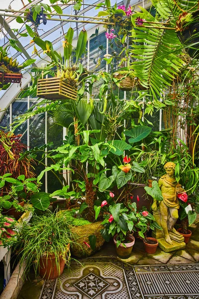 Obrázek Skleníku Rostlinami Opřenými Zeď Zavěšenými Stropě Kovovou Lávkou — Stock fotografie