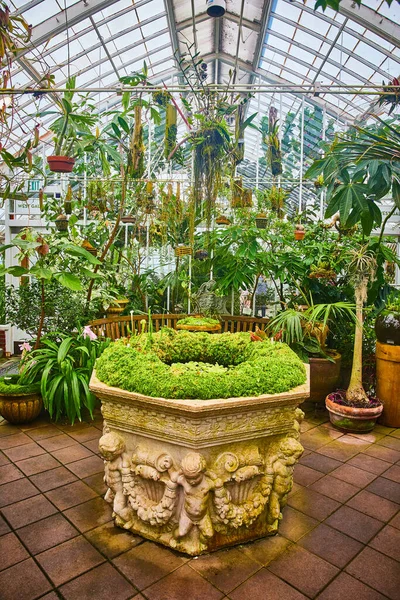 Kép Konzervatórium Üvegház Lógó Növények Nagy Betonnövény Angyalok Hárfák — Stock Fotó