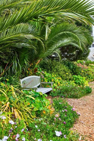 Image Bench Tucked Flowers Tropical Trees Fronds Mulch Path — Stock Photo, Image