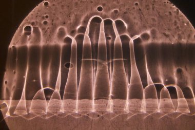 Aydaki eğri sütunların açık kahverengi leke şeklindeki soyut arkaplan varlığı