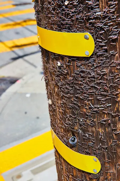 Image of Two yellow metal bands on telephone pole covered in metal staples
