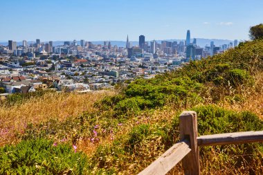 Çitin köşesinde San Francisco manzaralı yeşil ve pembe bitkiler.