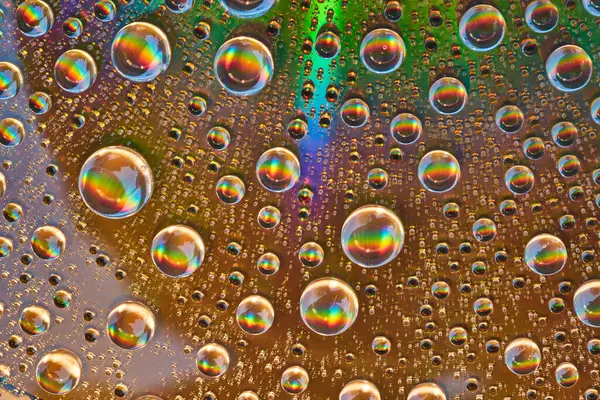 Image of Rainbow bursts inside water drops on reflective metal surface