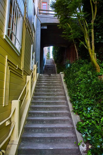 Imagen Escaleras Que Conducen Oscuro Paso Entre Edificio Naturaleza — Foto de Stock