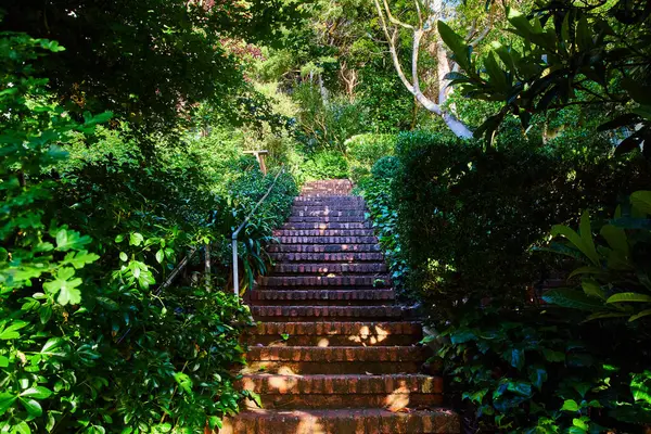あらゆる面に自然に囲まれたレンガの階段をトレイルアップするイメージ — ストック写真