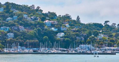 Corinthian Yat Kulübü 'nün Tiburon uçurumlarının manzarası zenginler için pahalı evlerle kaplı.