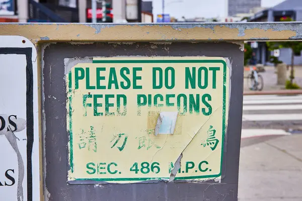 Εικόνα Του Sign English Japanese Translation Please Feed Pigeons — Φωτογραφία Αρχείου