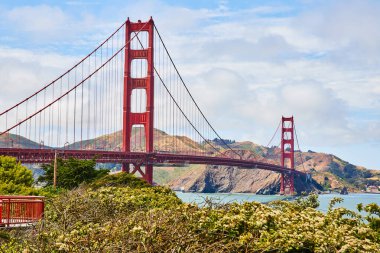 Bulutlu mavi gökyüzünde Golden Gate Köprüsü 'ne giden ağaçların ve çalıların görüntüsü