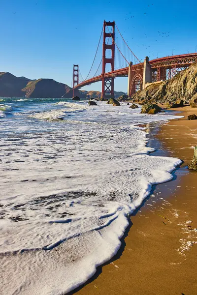 Image Seafoam Wet Sandy Beach Golden Gate Bridge Background Royalty Free Stock Photos