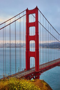 Sarı çiçekler ve körfezin üzerindeki gün batımı sisli Golden Gate Köprüsü görüntüsü