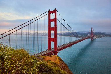 Golden Gate Köprüsü 'nün görüntüsü. Sarı kır çiçekleriyle kaplı ve koyda gün batımı sisi var.