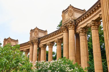 Güzel Sanatlar Sarayı 'ndaki antik Roma sütunlarının çürüyen harabelerinin resmi.