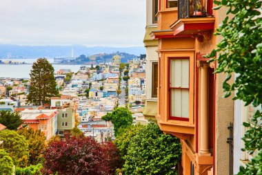 San Francisco 'nun yerleşim alanının kırmızı çizgili ve ağaç manzaralı turuncu evi.