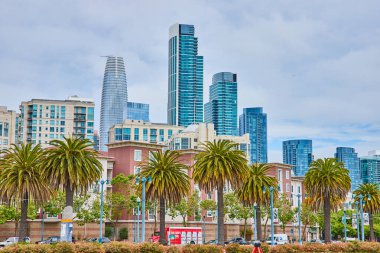 Satış Gücü Kulesi ve diğer gökdelenlere giden binaların önündeki palmiye ağaçlarının görüntüsü