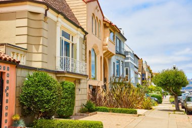 San Fransisco 'nun yeşil çalılı, pastel renkli evlerinin görüntüsü