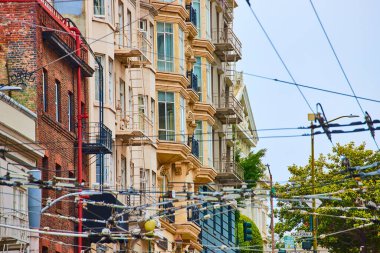 Koyun pencerelerini levyeleyen ve çapraz kablolu merdivenlerden kaçan evlerin resmi