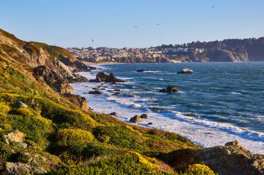 Uçurumun kenarındaki yeşil bitkiler ve sarı çiçekler dalgalarla ve uzak şehirlerle okyanusa bakıyor.