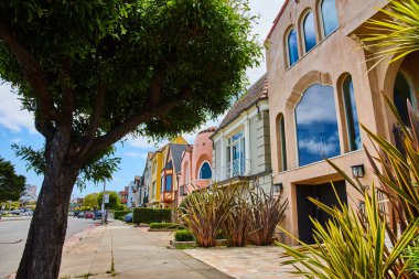San Francisco 'daki kaldırım manzarası modern renkli evler ve yeşil ağaçlara bakıyor.