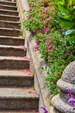 Yapılandırılmış beton merdiven görüntüsü yokuş yukarı gidiyor. Üzerinde pembe çiçekli çalılar merdivenlere yapraklar dökülüyor.