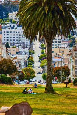 Alamo Meydanı 'nda, palmiye ağacının altında piknik yapan insanların görüntüsü.