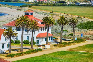 Turuncu çatılı binaların yanında, sahil kenarındaki binaların arkasında insanlar olan palmiye ağaçları.