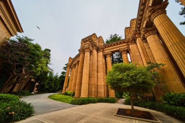 Güzel Sanatlar Sarayı 'ndaki Antik Roma mimari sütun yolunun resmi